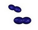 diplococcus ovoid
